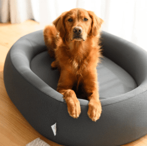The Ultimate Comfort Guide to Choosing the Perfect Nest Dog Bed for Your Pet